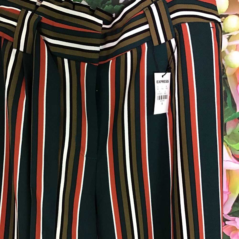 Multi Color Stripe Pants - image 4
